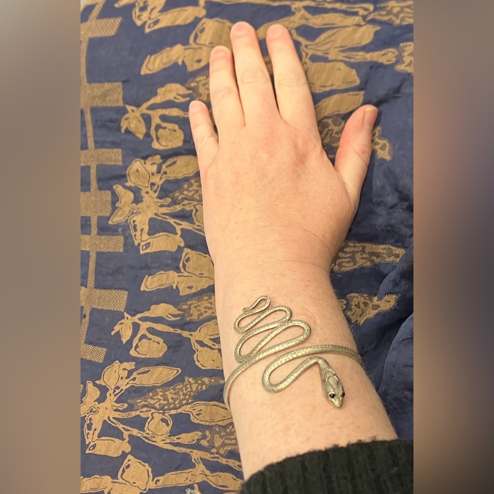 Snake - Picture 6 of 7